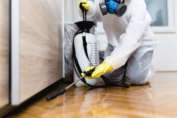 Best Affordable Pest Control Services  in East Camden, SC