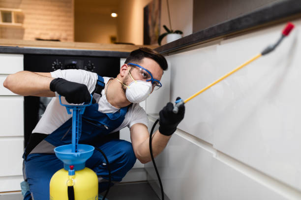  East Camden, SC Pest Control Pros