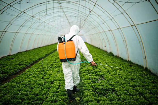 Best Best Pest Control Companies  in East Camden, SC