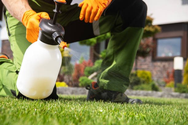 Best Best Pest Control Companies  in East Camden, SC