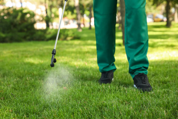 Best Best Pest Control Companies  in East Camden, SC