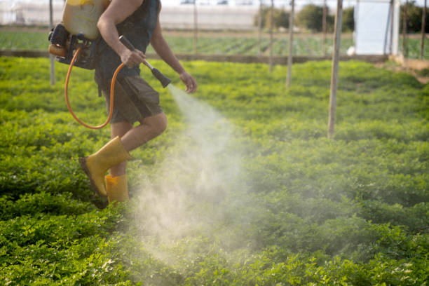 Best Pest Prevention Services  in East Camden, SC