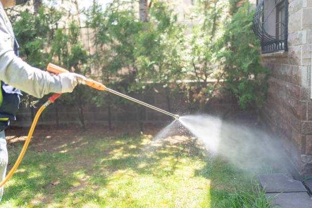 Best Local Pest Control Services  in East Camden, SC
