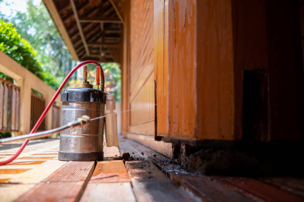 Best Wasp Removal Services  in East Camden, SC