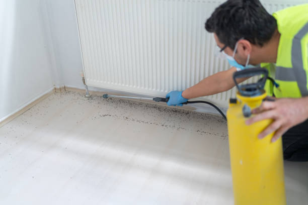 Reliable East Camden, SC Pest Control Solutions