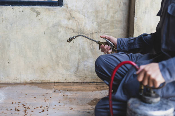 Best Rat Extermination Near Me  in East Camden, SC