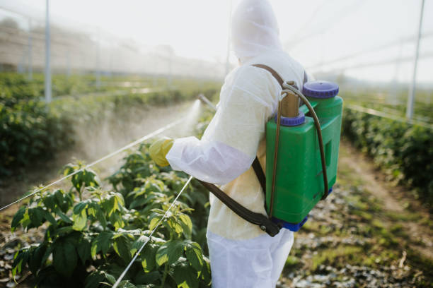 Best Bed Bug Extermination  in East Camden, SC